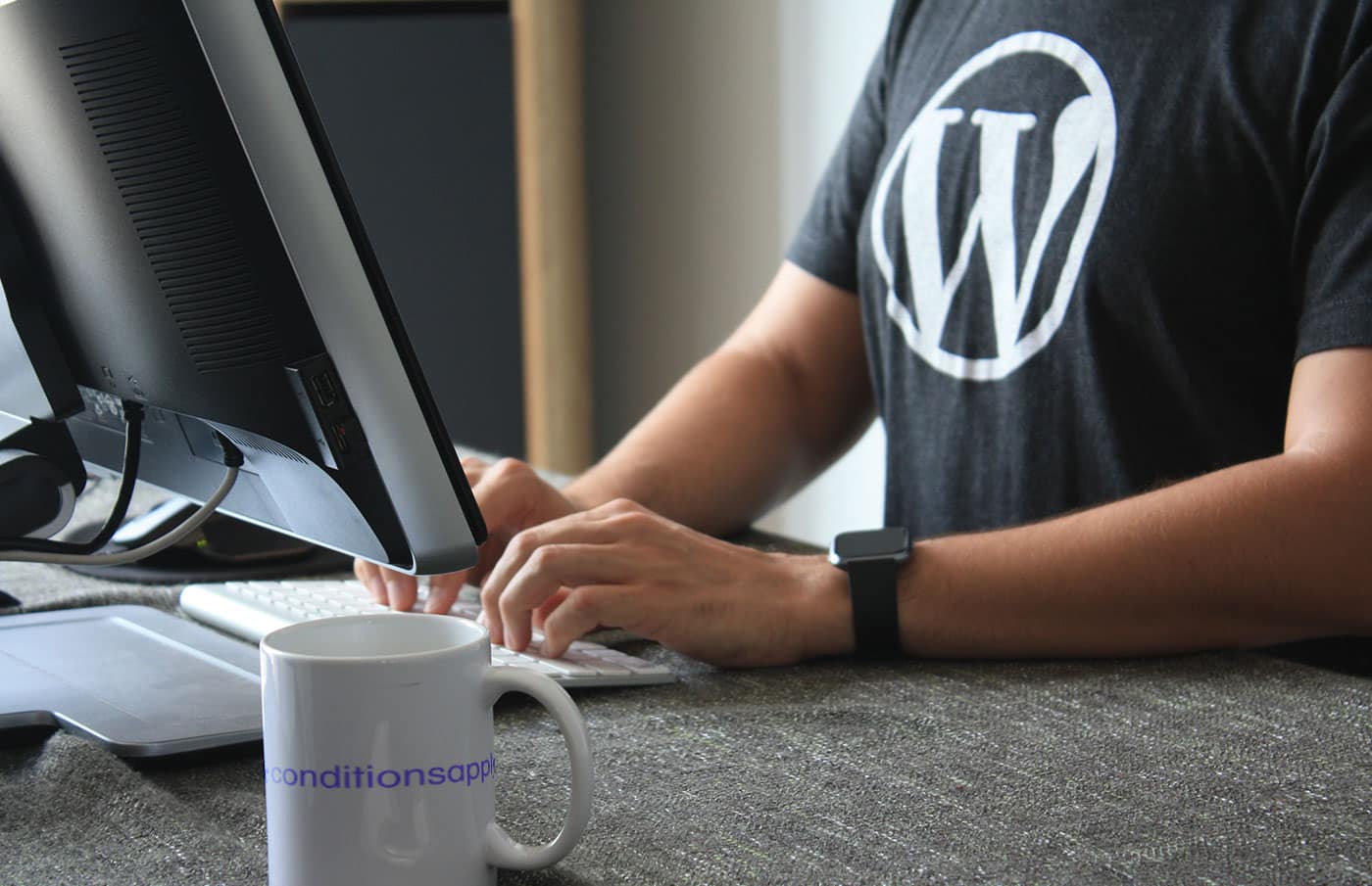 Wordpress-Developer-Development-Agency.jpg