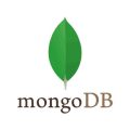 Software development company techstack - MongoDB